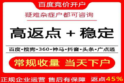 百度推广全攻略：成功案例剖析